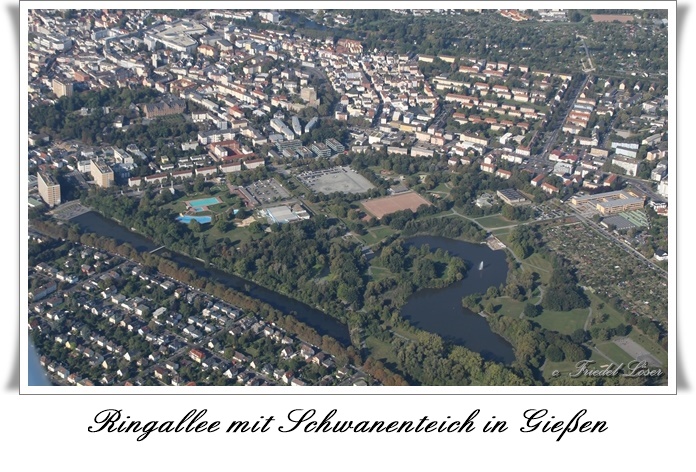 2020 09 21 Ringallee m Schwanenteich