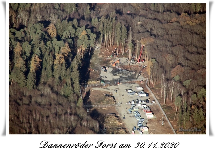2020 11 30 Dannerder Forst